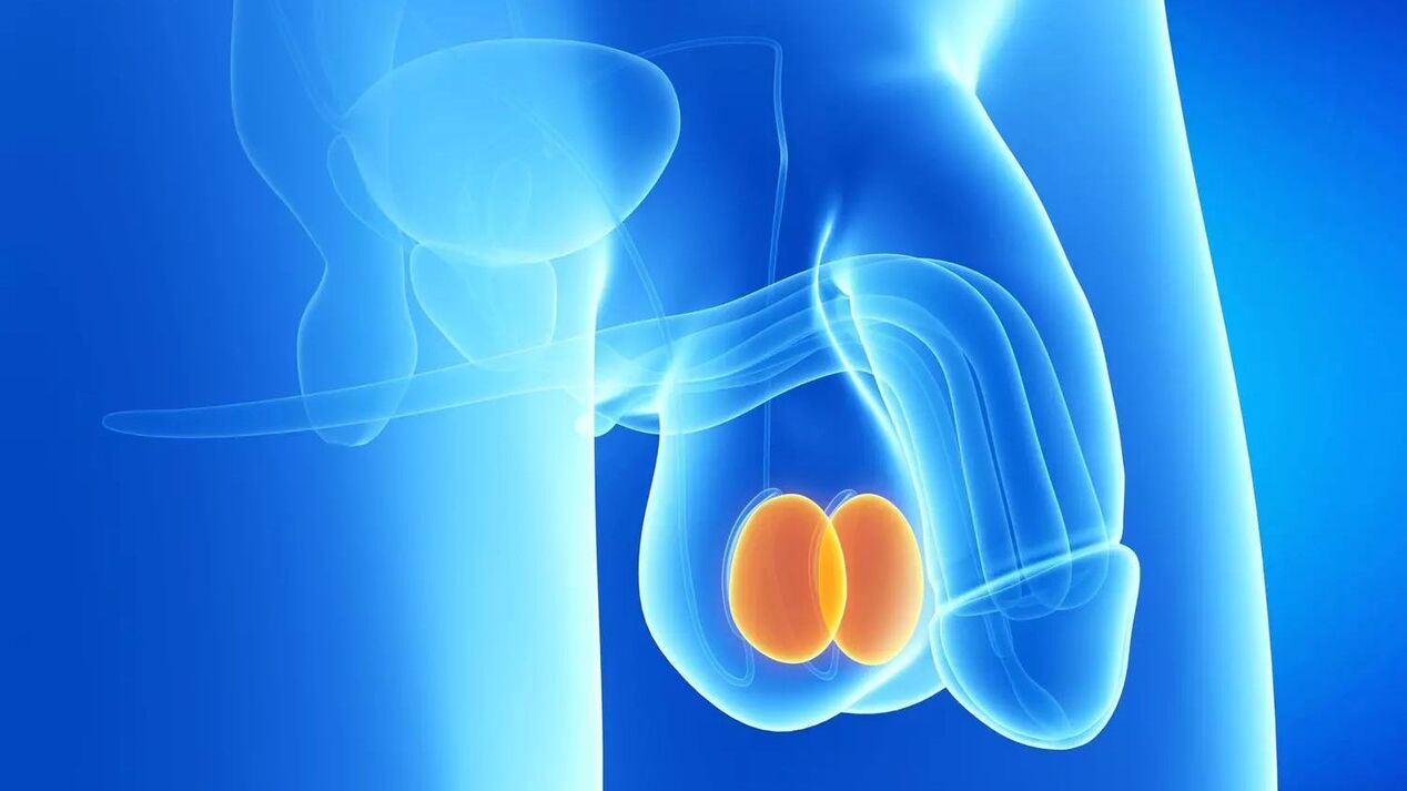 Penis enlargement surgery cost